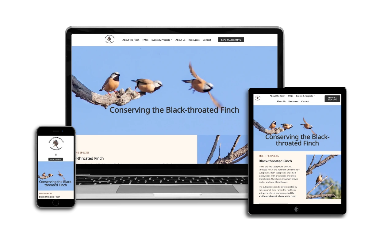www.blackthroatedfinch.org website redesign